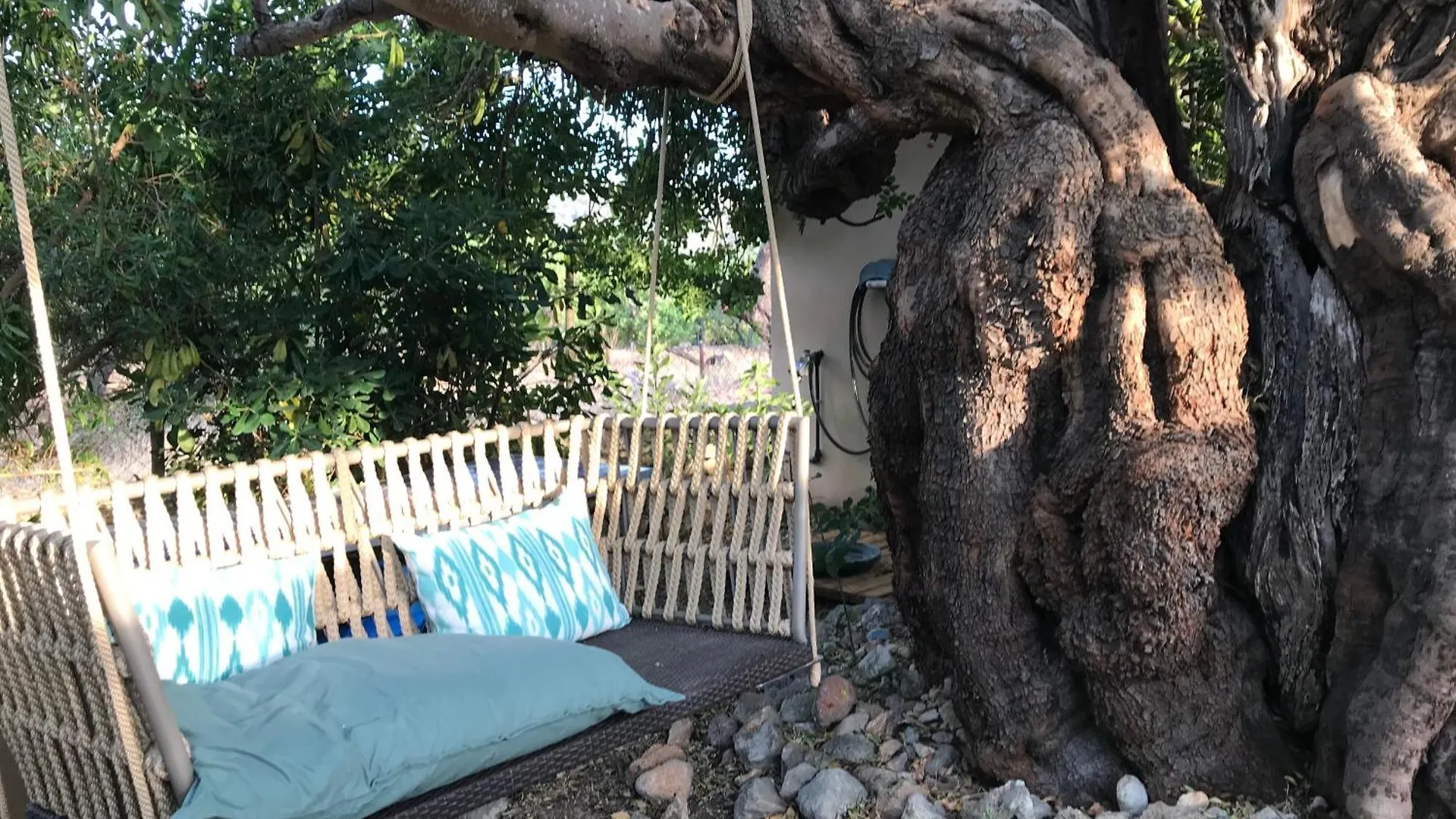 Villa Dream Finca For Nature Lovers In Alaro!