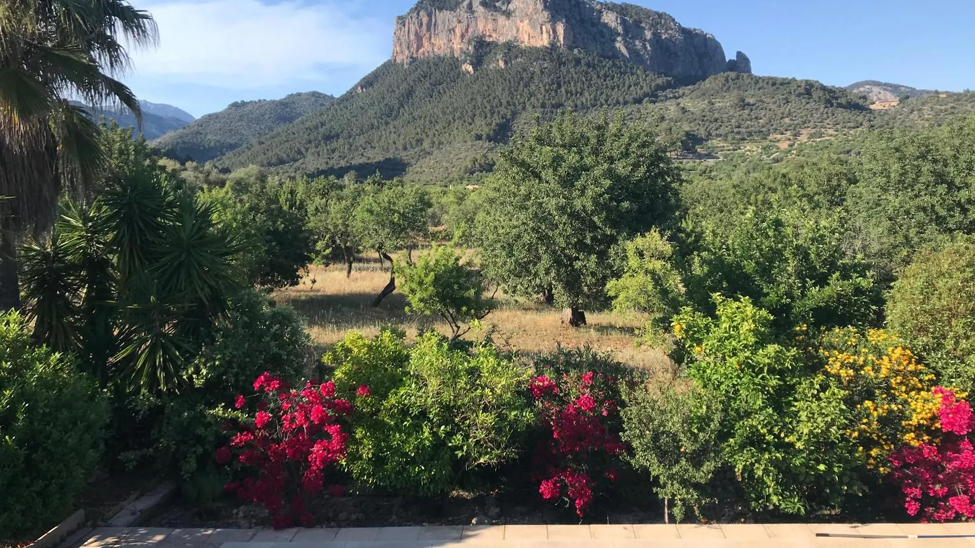 Villa Dream Finca For Nature Lovers In Alaro!