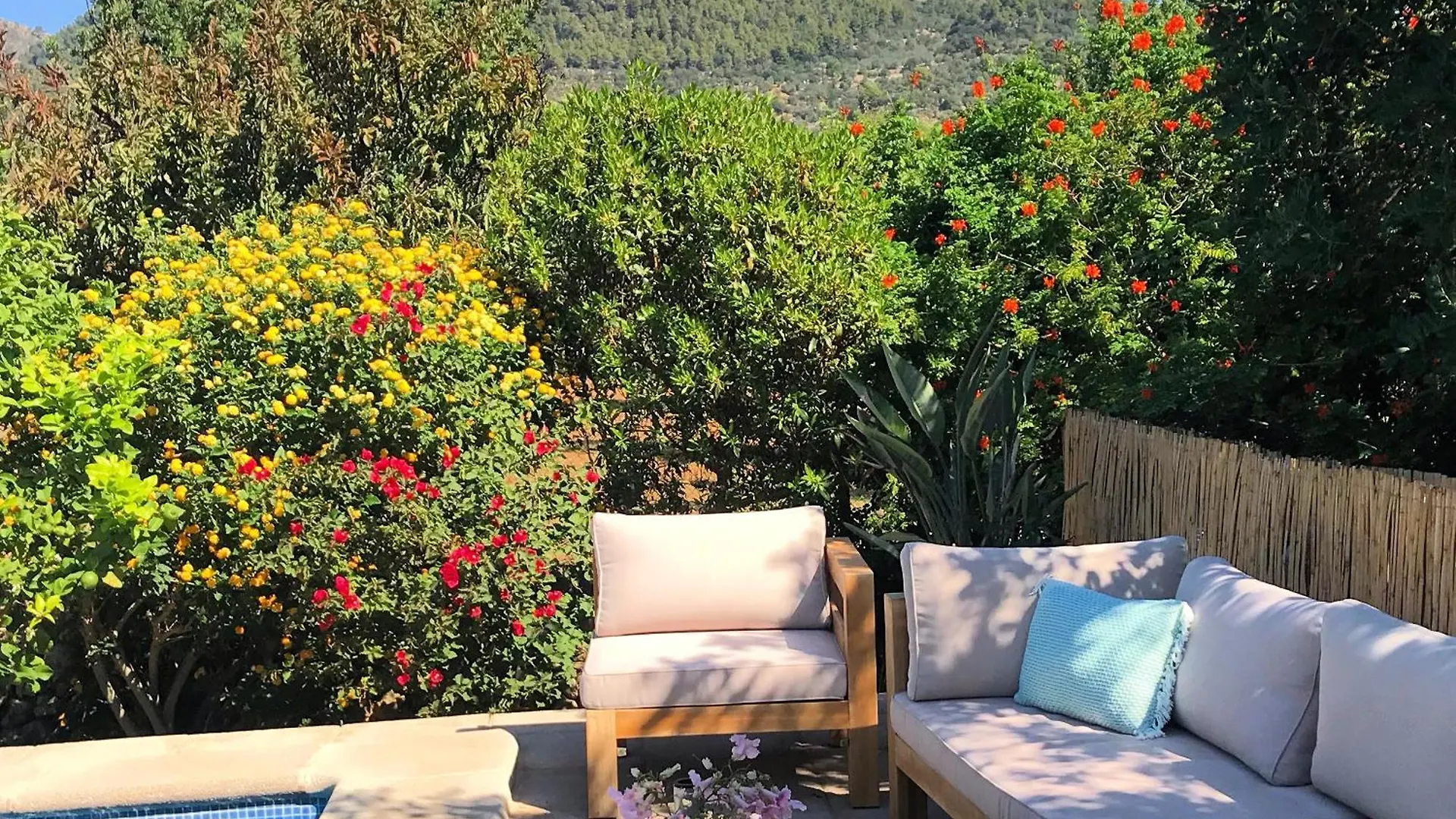 Dream Finca For Nature Lovers In Alaro! 0*, Alaro